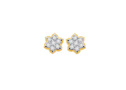 Gold Plated | Fashion Earrings